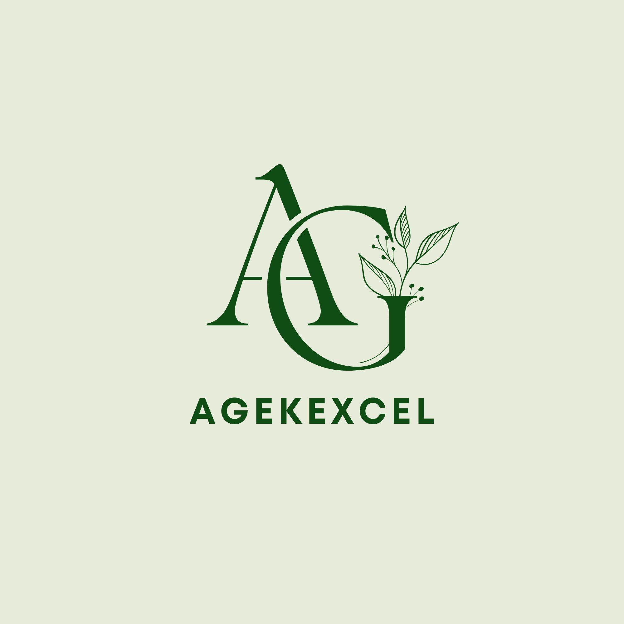 agekexcel.com
